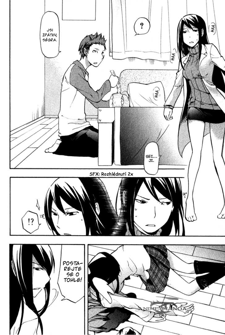 gdurarara_002_p10 kopie.png